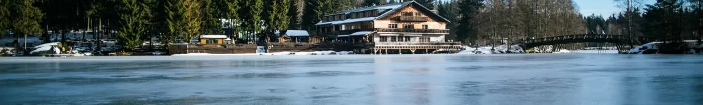 Singles und Partnersuche in Deutschland